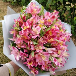 Букет из 17 розовых альстромерий — Бизнес букеты