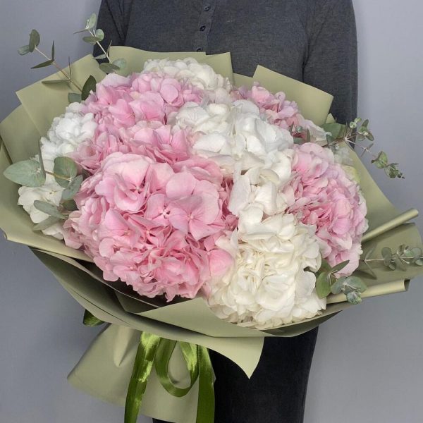 Букет из 9 бело-розовых гортензий в упаковке — Букеты цветов