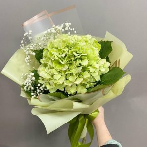 Букет из зеленой гортензии и гипсофилы — Букеты цветов