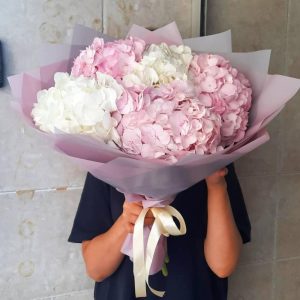 Букет из 5 бело-розовых гортензий — Букеты цветов