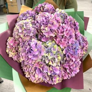 Букет из 15 фиолетовых гортензий — Букеты цветов