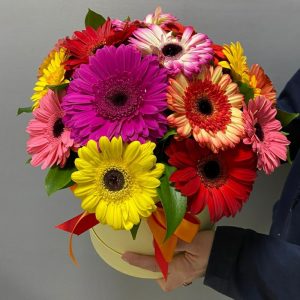 Букет из 21 яркой герберы в коробке — Букеты цветов