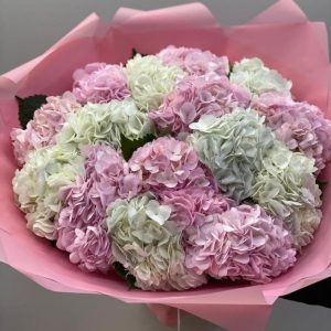 Букет из 15 розовых белых гортензий — Букеты цветов
