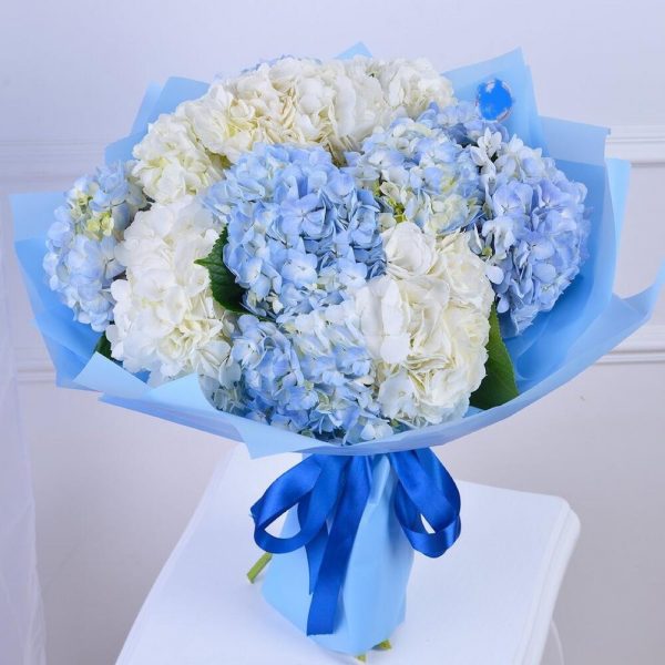 Букет из 11 белых и голубых гортензий в упаковке — Букеты цветов