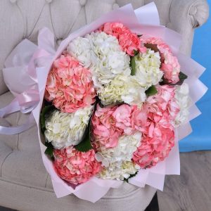 Букет из 13 бело-розовых гортензий — Букеты цветов