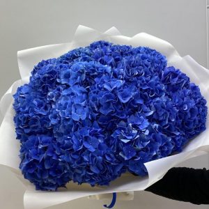 Букет из 19 синих гортензий — Букеты цветов
