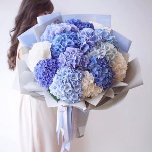 Букет из 13 бело-голубых гортензий в упаковке — Букеты цветов