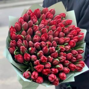 Букет из 101 красного пионовидного тюльпана — 100 тюльпанов