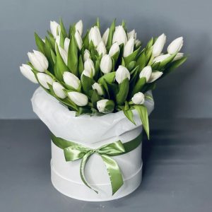 Букет из 35 белых тюльпанов в коробке — Тюльпаны