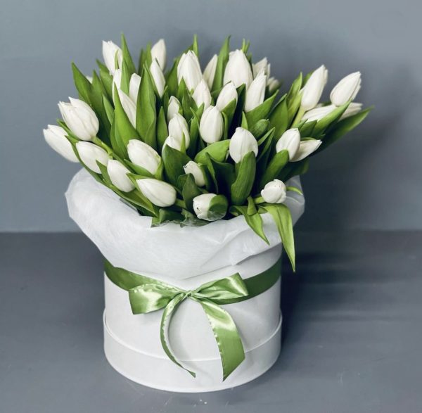 Букет из 35 белых тюльпанов в коробке