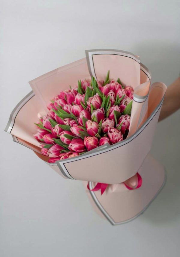 Букет из 51 бело-красного тюльпана — Тюльпаны