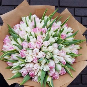 Букет из 75 нежных пионовидных тюльпанов — Тюльпаны