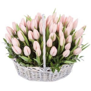 Букет из 51 нежного тюльпана в корзине — 60 тюльпанов