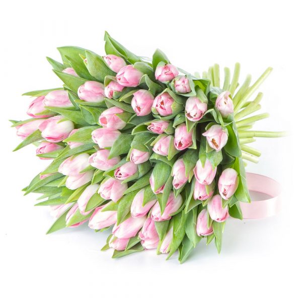 Букет из 51 нежно-розового тюльпана — Тюльпаны