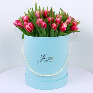 Букет из 51 бело-розового тюльпана в коробке — Тюльпаны