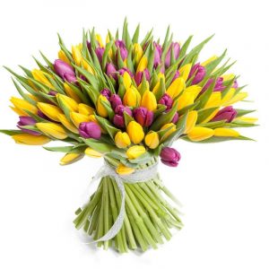 Букет из 75 сиреневых и желтых тюльпанов — Большие тюльпаны недорого