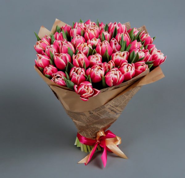 51 бело-розовый пионовидный тюльпан — Тюльпаны