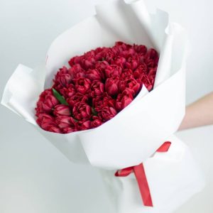 51 малиновый пионовидный тюльпан — Тюльпаны