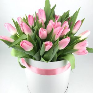 25 нежно-розовых тюльпанов в коробке — Доставка тюльпанов недорого