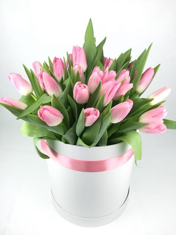 25 нежно-розовых тюльпанов в коробке