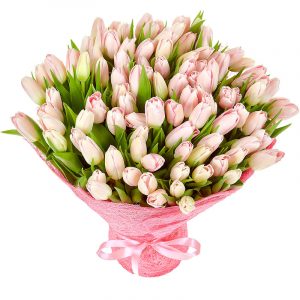 Букет из 101 нежно-розового тюльпана — 101 тюльпан дешево