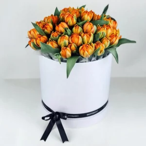 35 оранжевых пионовидных тюльпанов в коробке — Тюльпаны