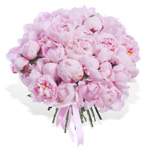 Букет из 35 нежно-розовых пионов — Пионы
