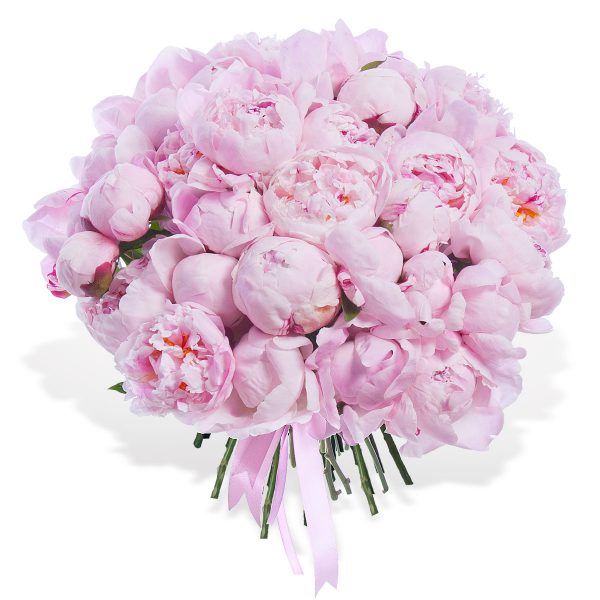 Букет из 35 нежно-розовых пионов