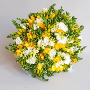Букет из 101 желтой и белой фрезии — Букеты цветов