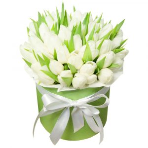 Букет из 51 белого тюльпана в коробке — Тюльпаны