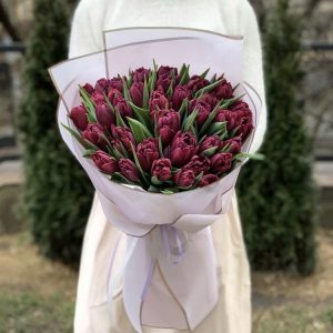 35 малиновых пионовидных тюльпанов