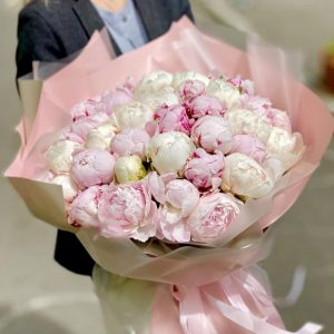 Букет из 51 бело-розового пиона — Нежно-розовые пионы