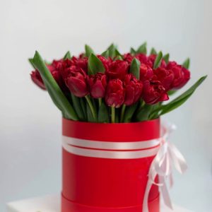 Букет из 49 бордовых тюльпанов в коробке — Тюльпаны