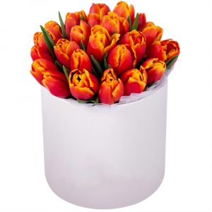 Букет из 35 ярких тюльпанов в коробке — Тюльпаны