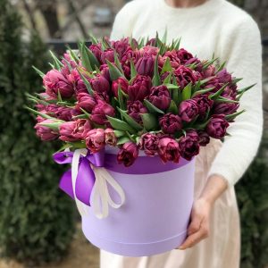 75 сиреневых пионовидных тюльпанов в коробке — Тюльпаны