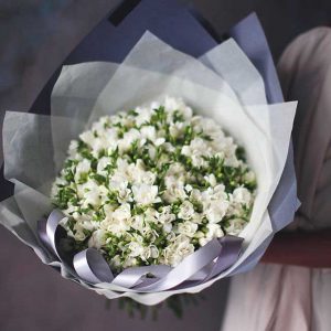 Букет из 49 белых фрезий — Букеты цветов