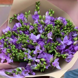 Букет из 25 фиолетовых фрезий — Букеты цветов