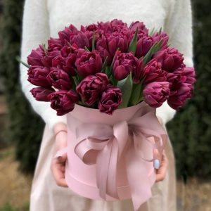 51 малиновый пионовидный тюльпан в коробке — Тюльпаны