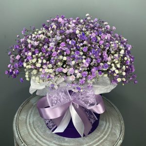 Букет из сиреневых гипсофил в коробке — Букеты цветов