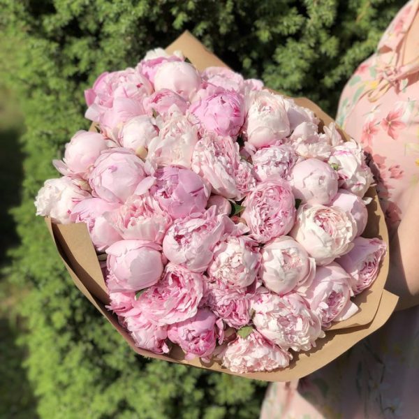 Букет из 35 розовых пионов в крафте — Пионы