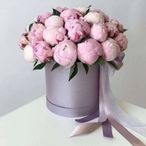 Букет из 23 розовых пионов в коробке — Пионы