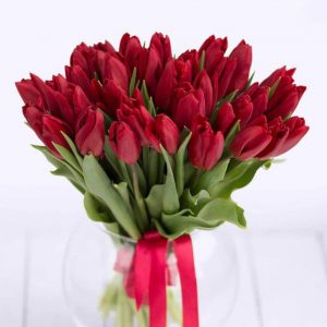 Букет из 25 красных тюльпанов — Доставка тюльпанов недорого