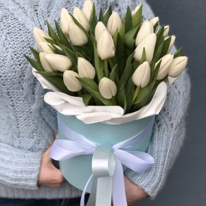 Букет из 25 белых тюльпанов в коробке — Доставка тюльпанов недорого