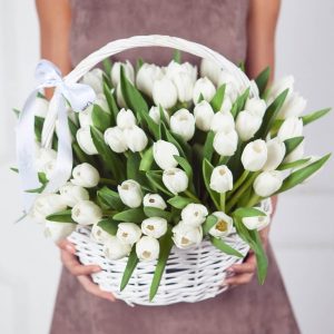 Букет из 49 белых тюльпанов в корзине — Тюльпаны
