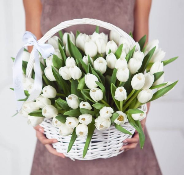Букет из 49 белых тюльпанов в корзине — Тюльпаны