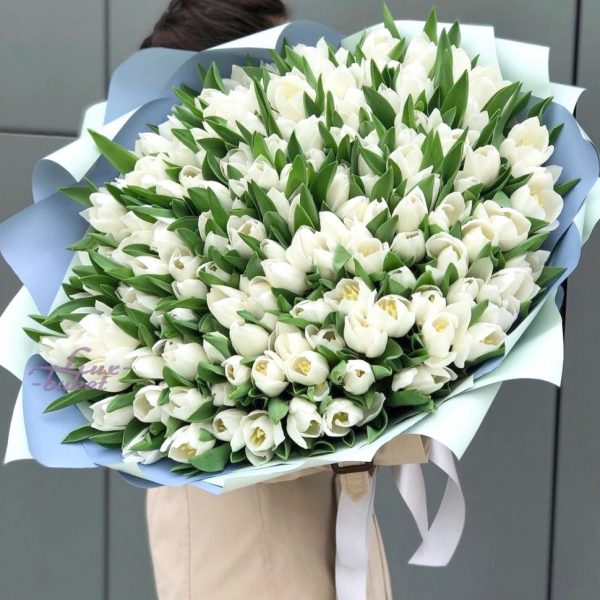 Букет из 201 белого тюльпана — Тюльпаны