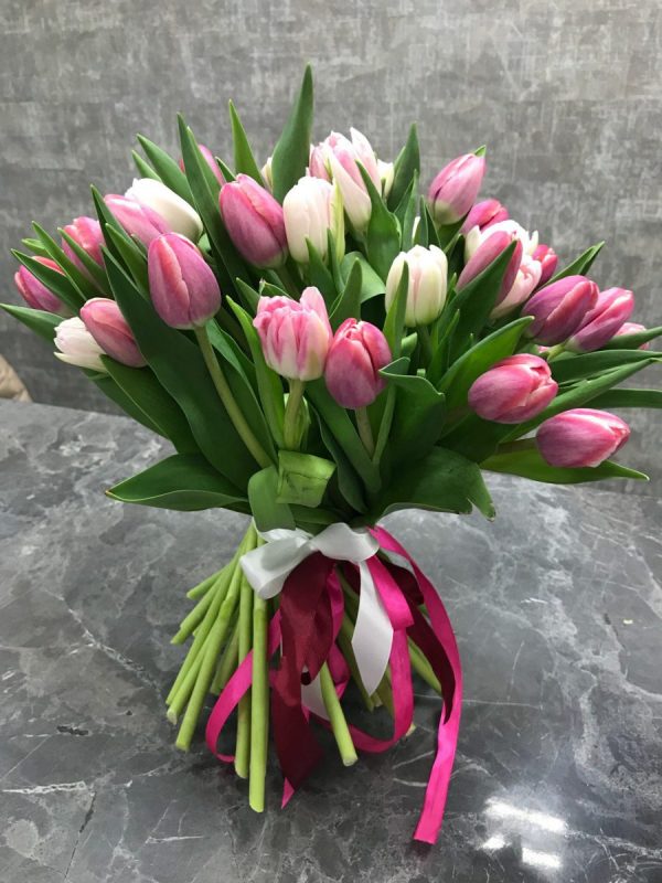 Букет из 21 белого и розового тюльпана