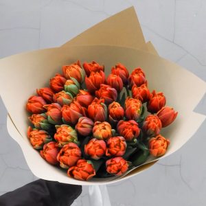 35 оранжевых пионовидных тюльпанов — Пионовидные тюльпаны недорого