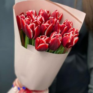Букет из 15 бело-красных тюльпанов
