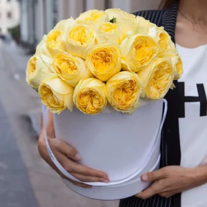 Пионовидные розы «Catalina» в Шляпной Коробке — Доставка роз
